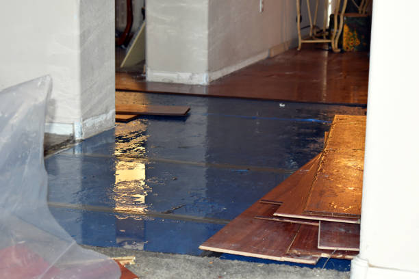 Professional Burst Pipe Cleanup technician working in West Harwich, MA